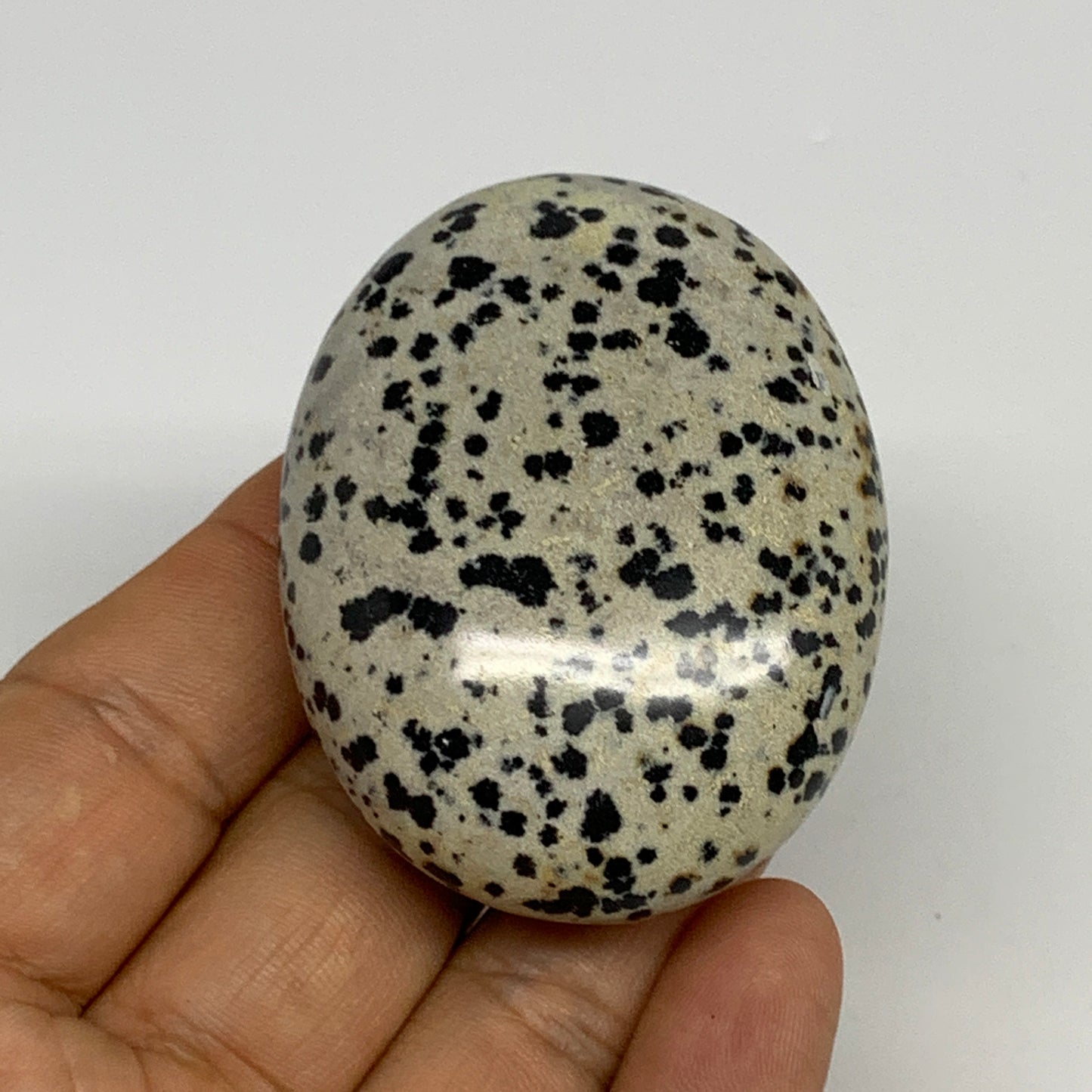 84.9g, 2.3"x1.8"x0.9", Natural Dalmatian Jasper Palm-Stone @India, B29464