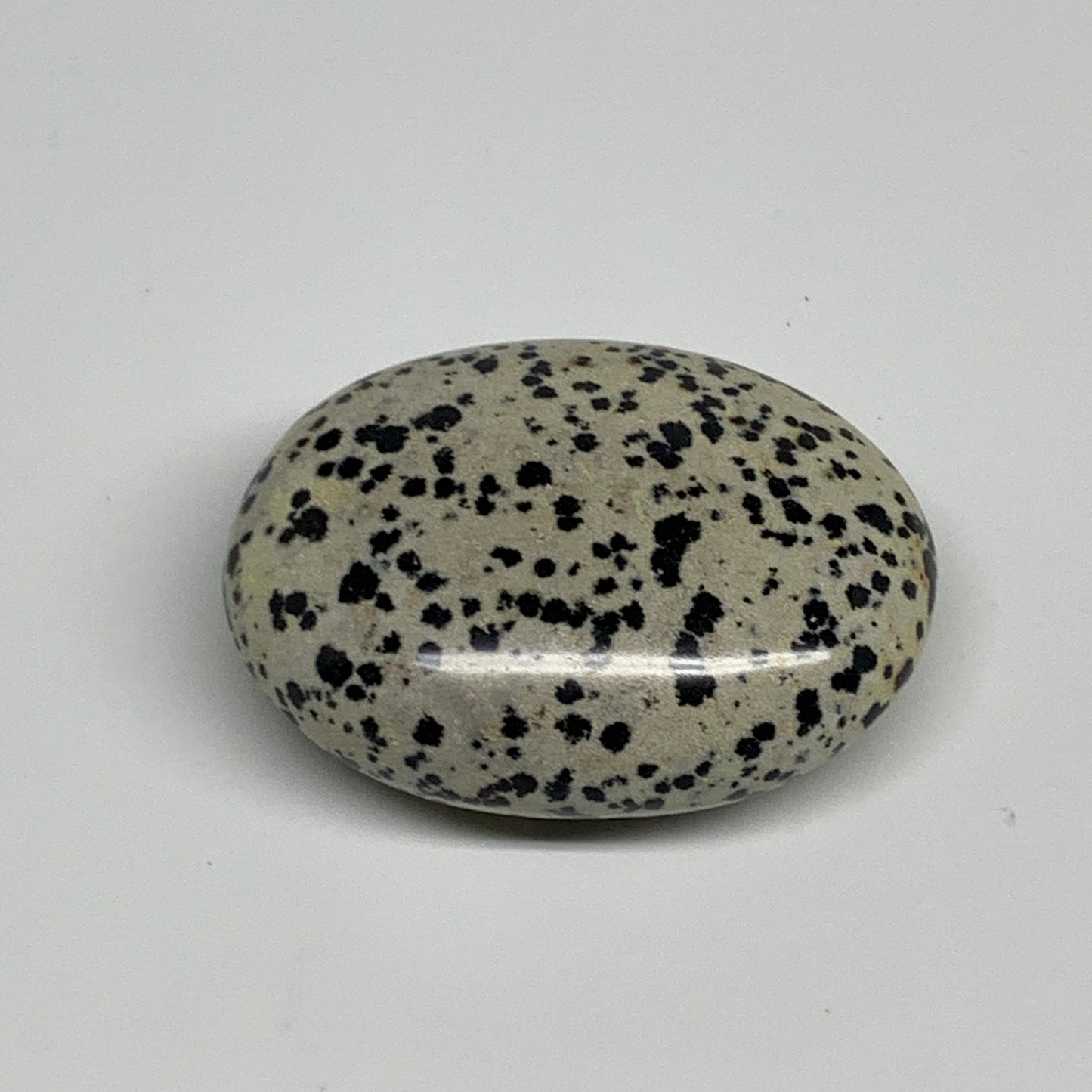 84.9g, 2.3"x1.8"x0.9", Natural Dalmatian Jasper Palm-Stone @India, B29464