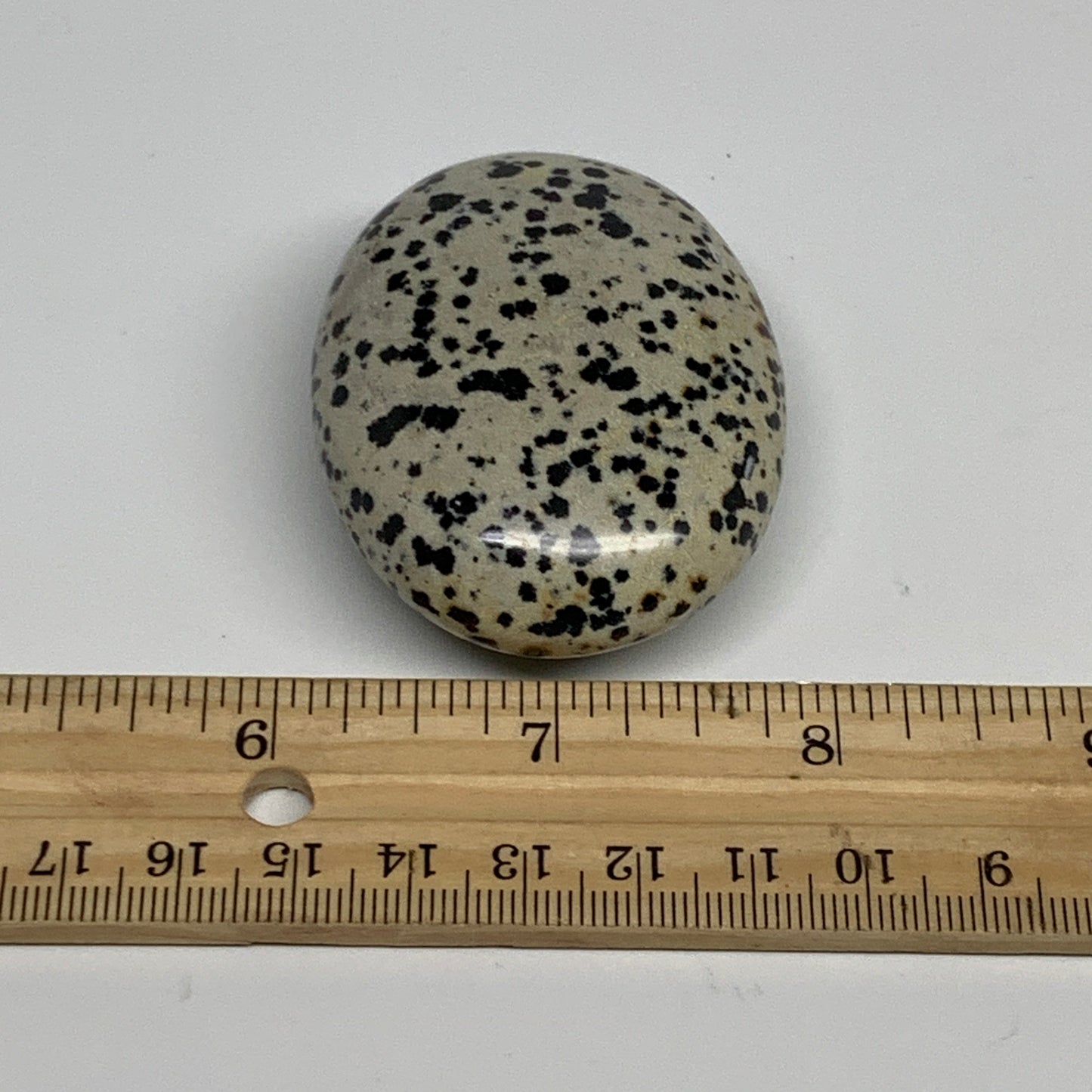 84.9g, 2.3"x1.8"x0.9", Natural Dalmatian Jasper Palm-Stone @India, B29464