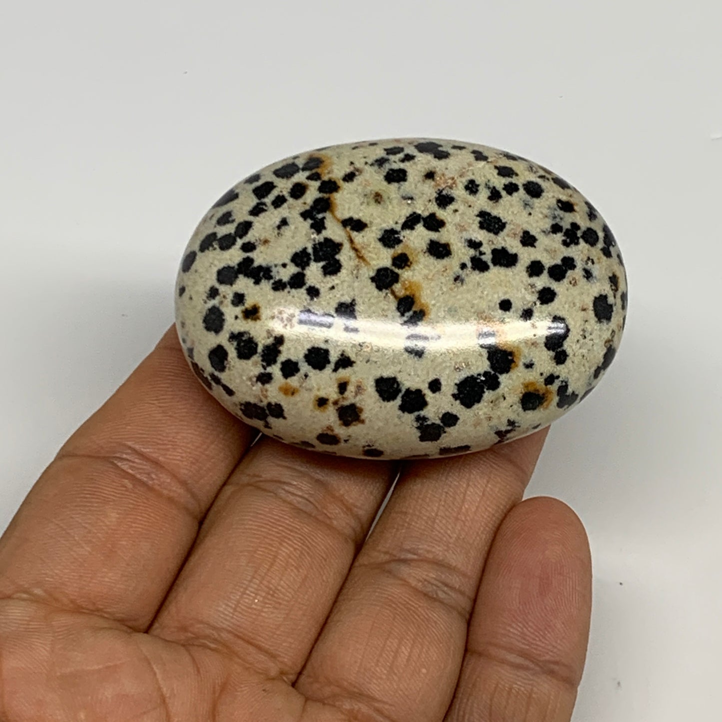 78.1g, 2.2"x1.6"x0.9", Natural Dalmatian Jasper Palm-Stone @India, B29465