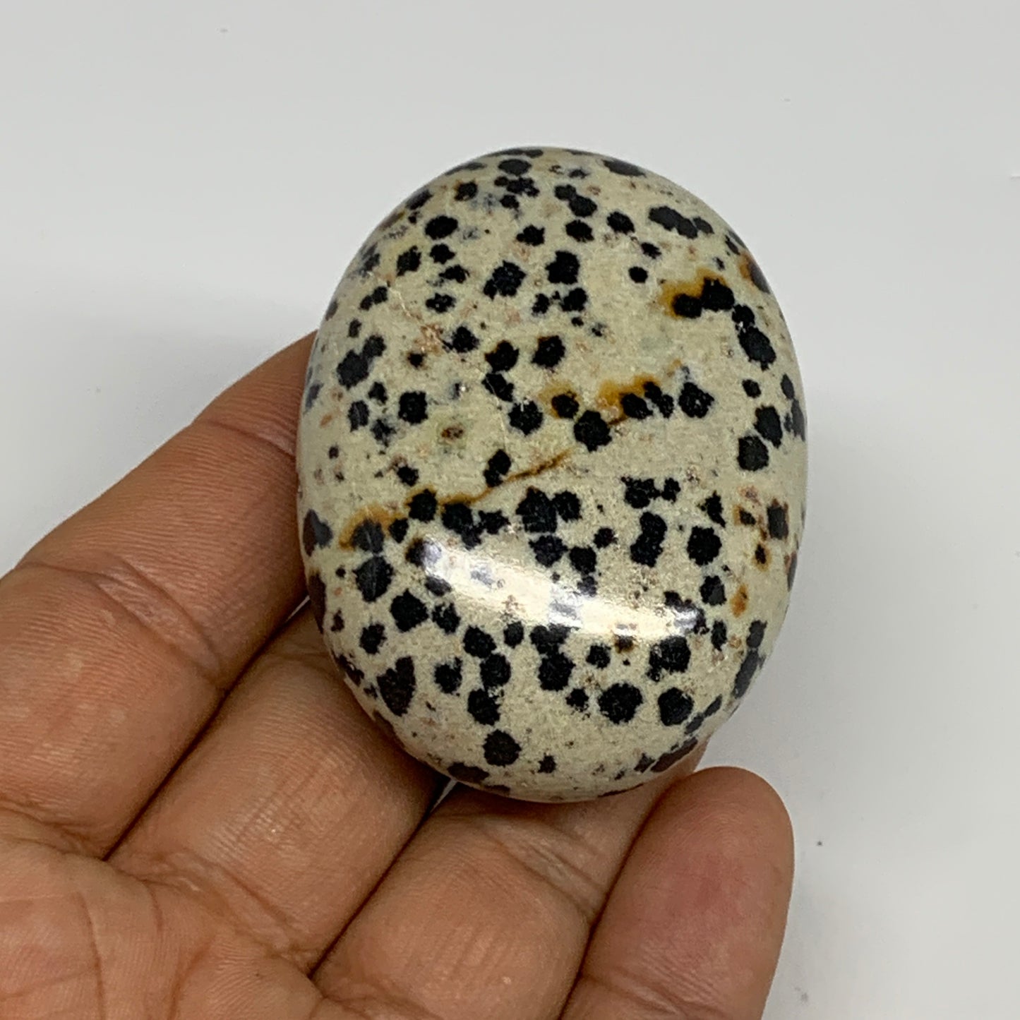 78.1g, 2.2"x1.6"x0.9", Natural Dalmatian Jasper Palm-Stone @India, B29465