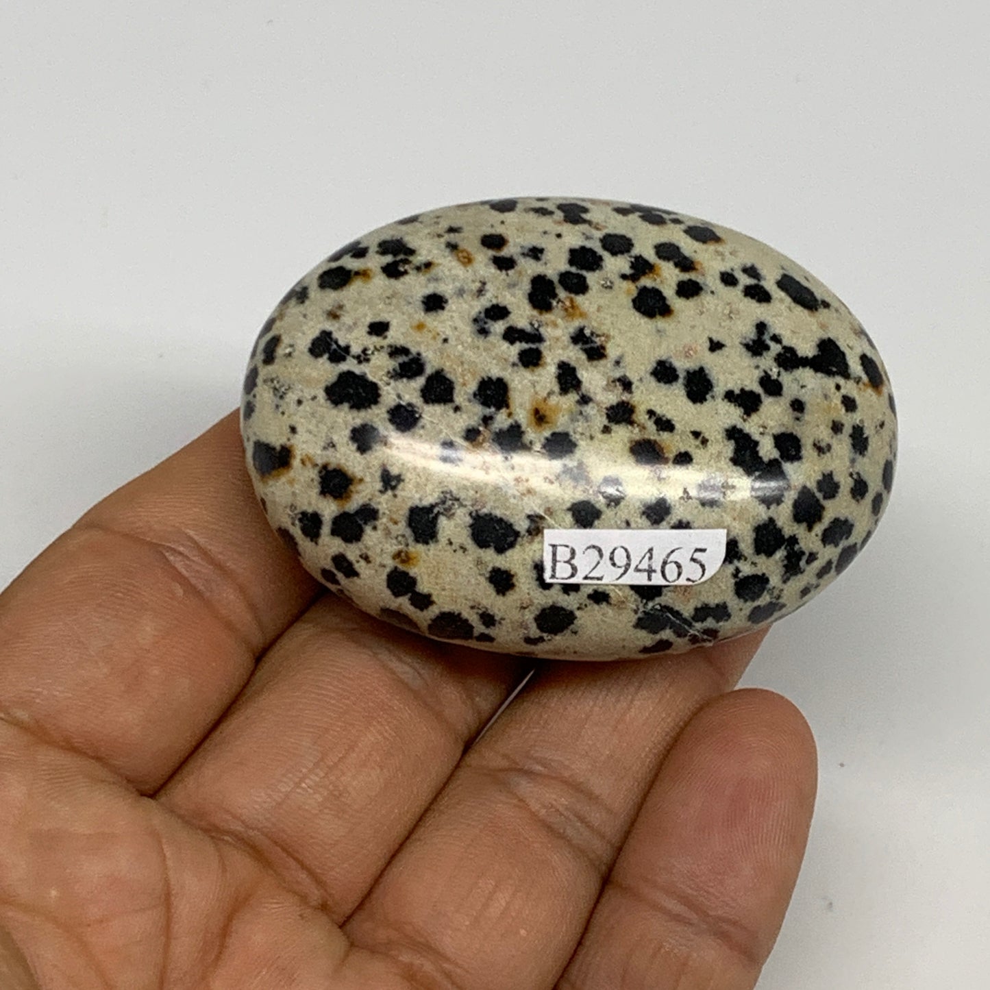 78.1g, 2.2"x1.6"x0.9", Natural Dalmatian Jasper Palm-Stone @India, B29465