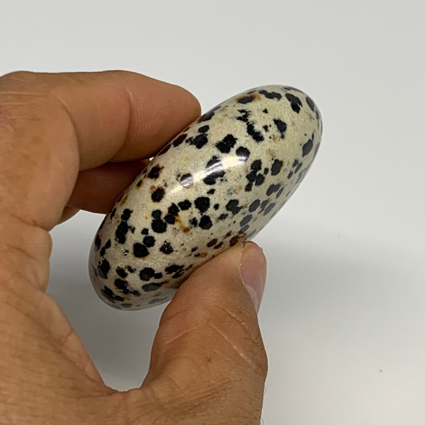 78.1g, 2.2"x1.6"x0.9", Natural Dalmatian Jasper Palm-Stone @India, B29465