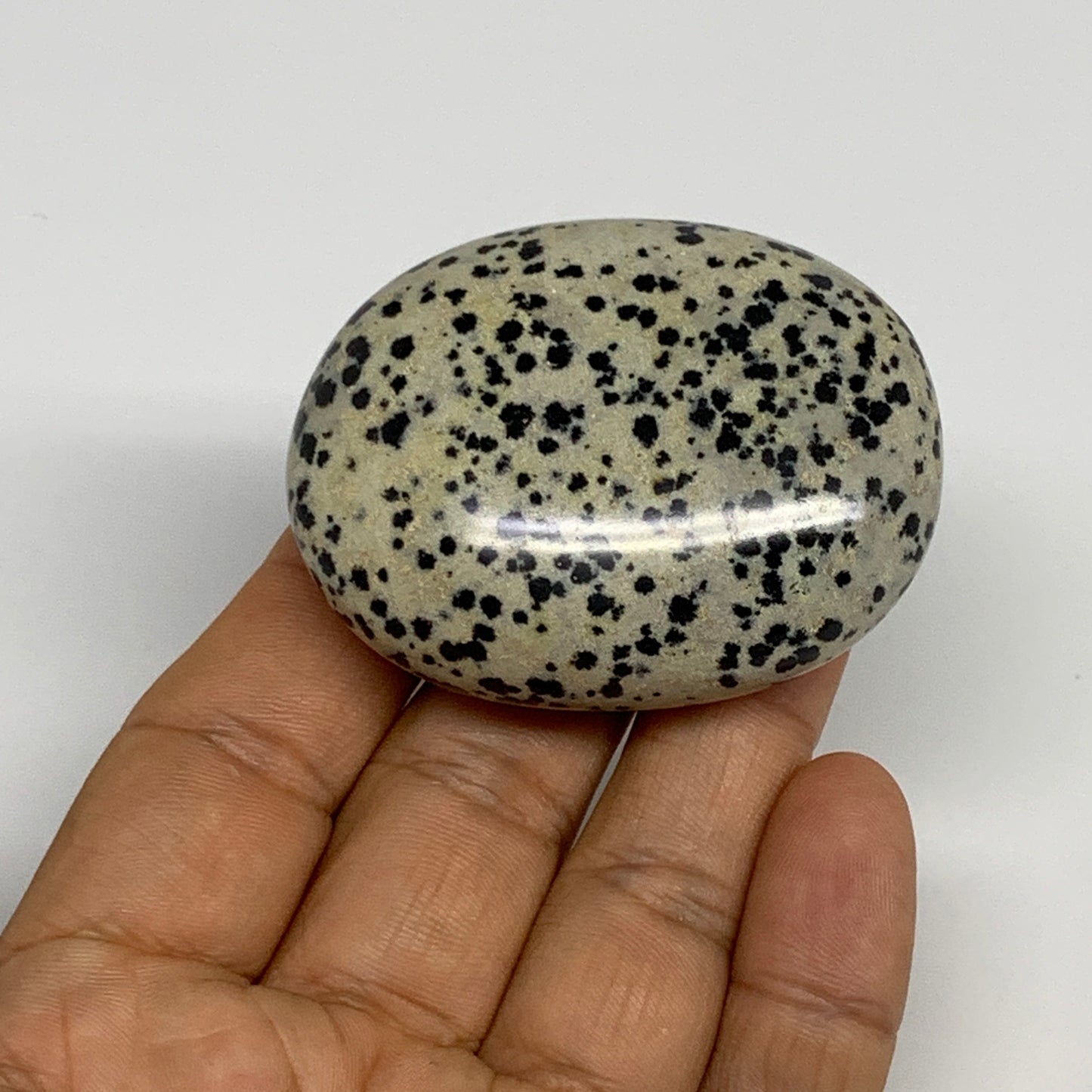 75.8g, 2.2"x1.7"x0.8", Natural Dalmatian Jasper Palm-Stone @India, B29468