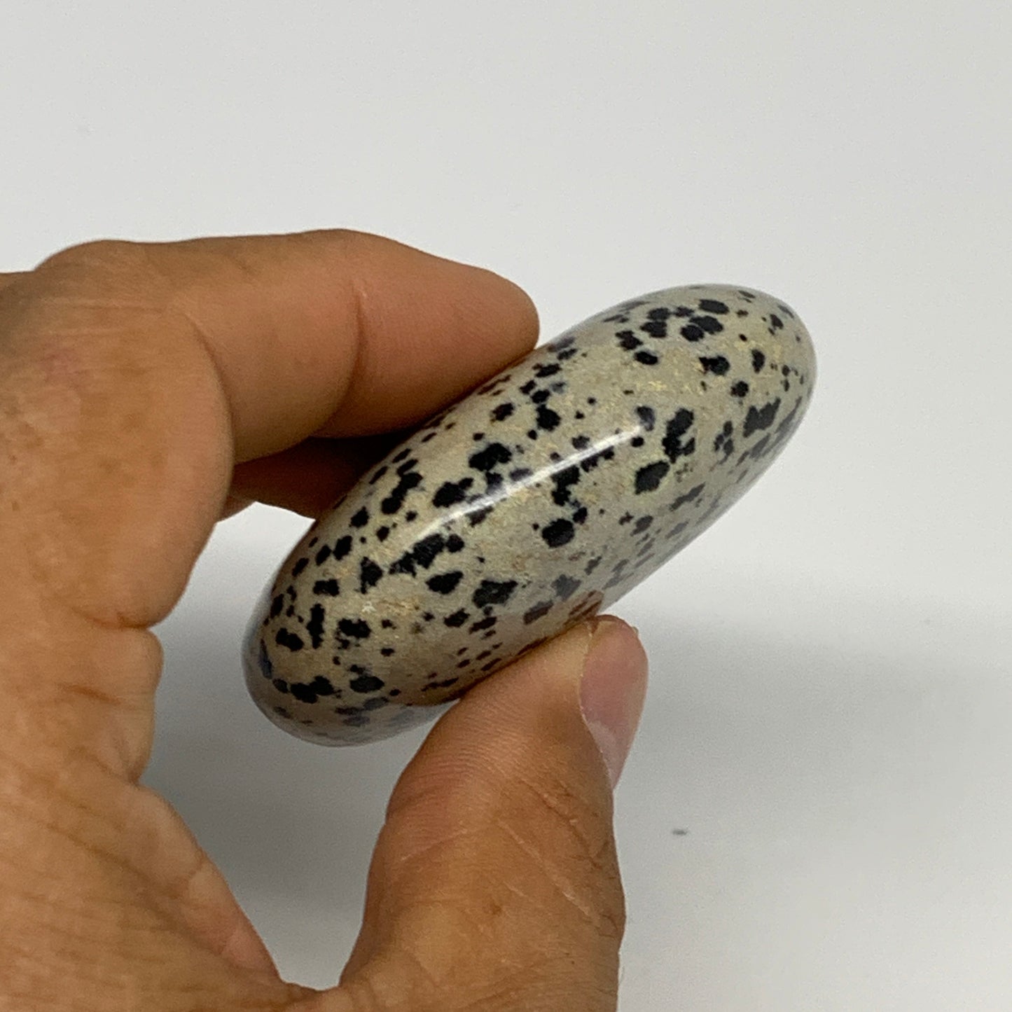 75.8g, 2.2"x1.7"x0.8", Natural Dalmatian Jasper Palm-Stone @India, B29468