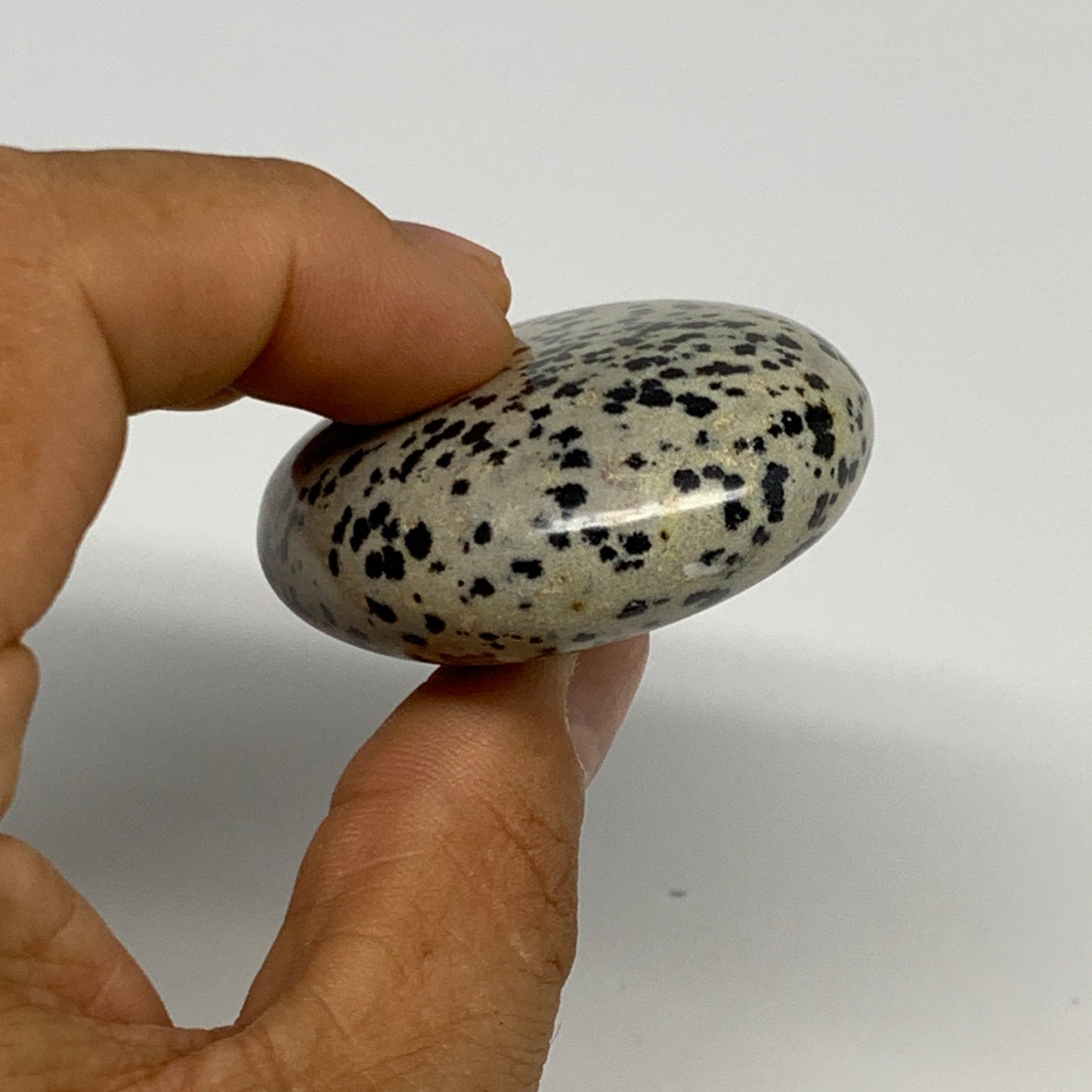 75.8g, 2.2"x1.7"x0.8", Natural Dalmatian Jasper Palm-Stone @India, B29468