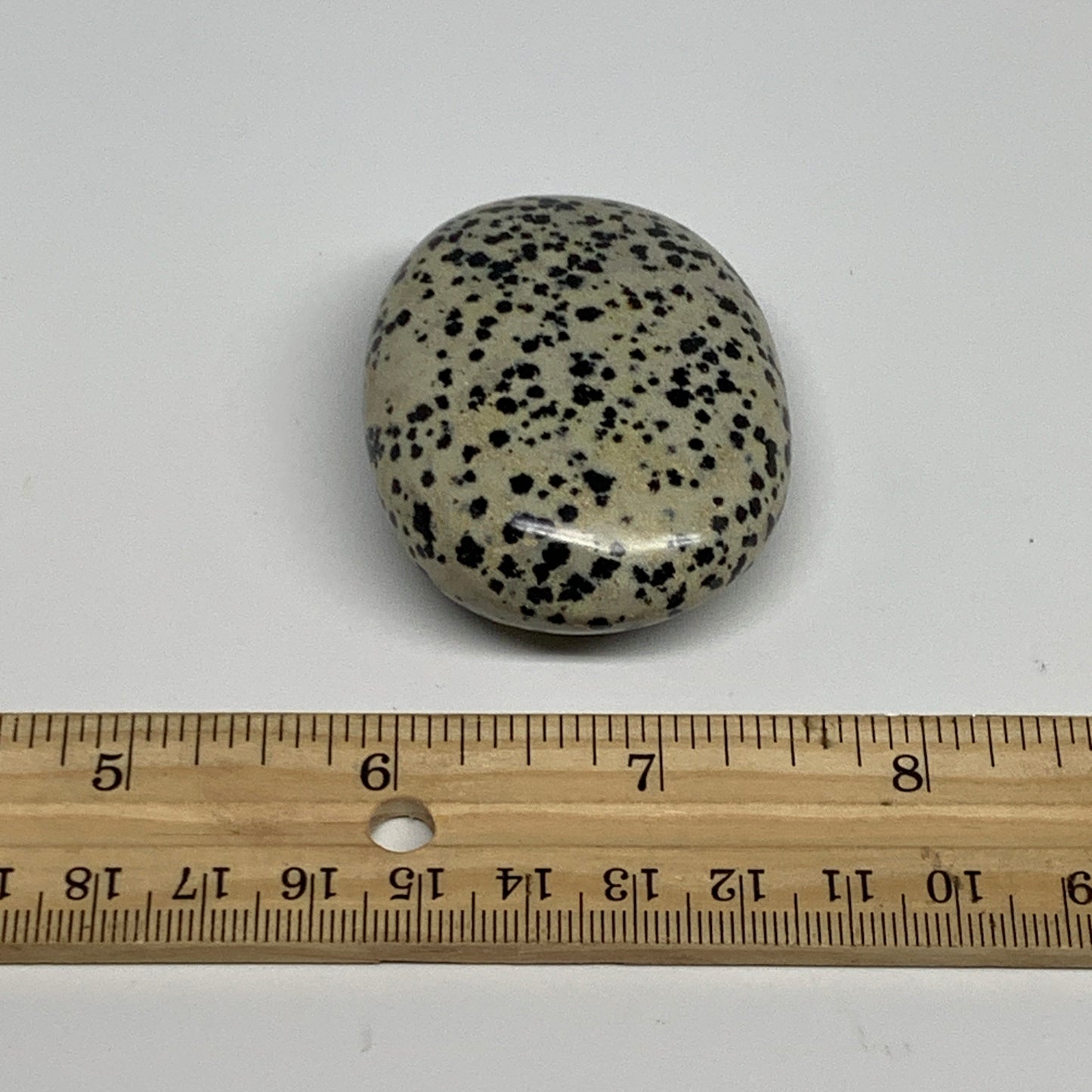 75.8g, 2.2"x1.7"x0.8", Natural Dalmatian Jasper Palm-Stone @India, B29468