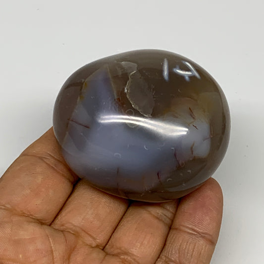 122.1g, 2.2"x1.9"x1.3" Orca Agate Palm-Stone Reiki Energy Crystal Reiki, B28639