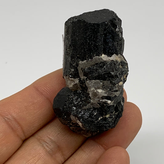 62.6g, 2.1"x1.3"x1.1", Natural Black Tourmaline Mineral Specimen, B33742