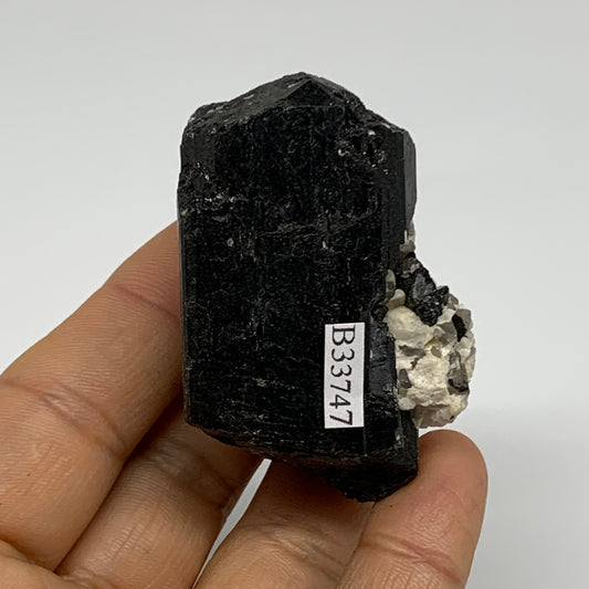 84.1g, 2.2"x1.3"x1.2", Natural Black Tourmaline Mineral Specimen, B33747