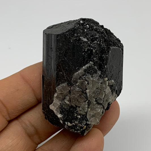 91.1g, 2.1"x1.5"x1.1", Natural Black Tourmaline Mineral Specimen, B33755