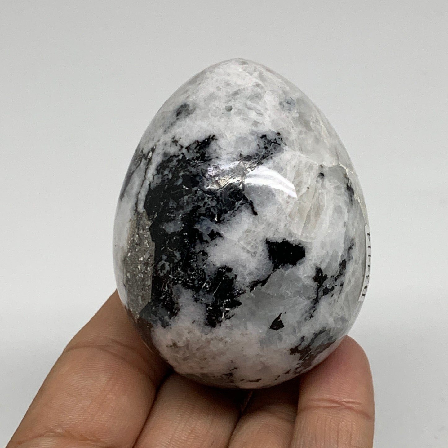 216g, 2.5"x1.9", Natural Gemstone White Rainbow Moonstone Egg, B34414