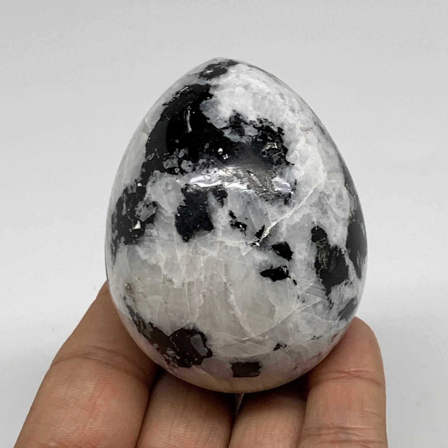 216g, 2.5"x1.9", Natural Gemstone White Rainbow Moonstone Egg, B34414