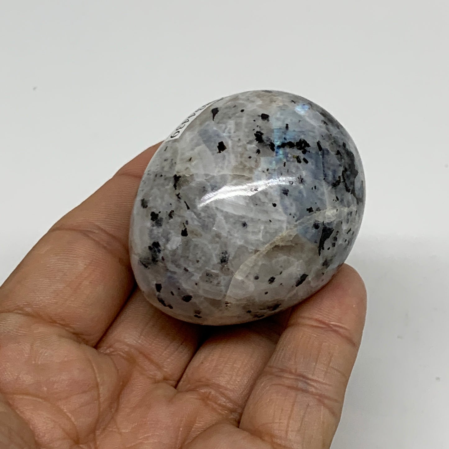 119.9g, 2.1"x1.6", Natural Gemstone White Rainbow Moonstone Egg, B34439