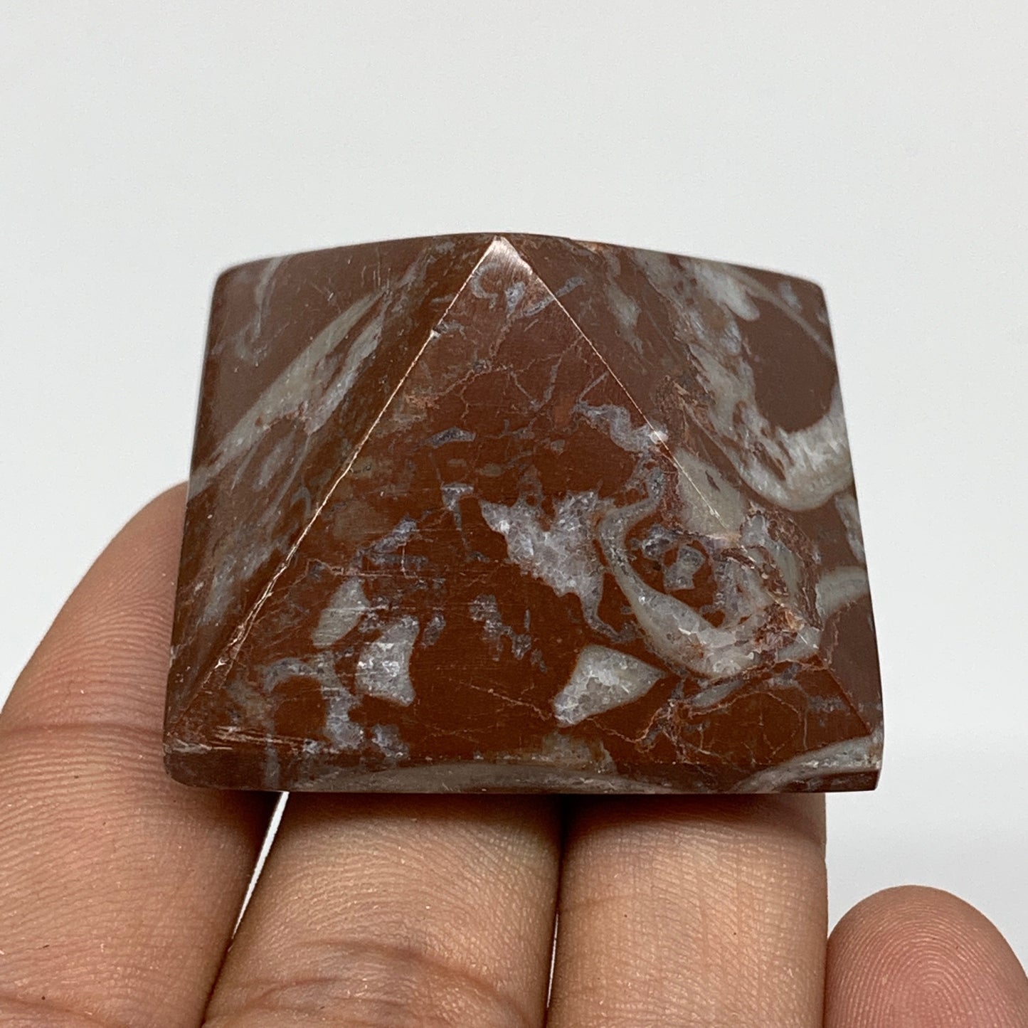 53.1g,1"x1.6" Natural Untreated Red Shell Fossils Pyramid Reiki Energy, F1181