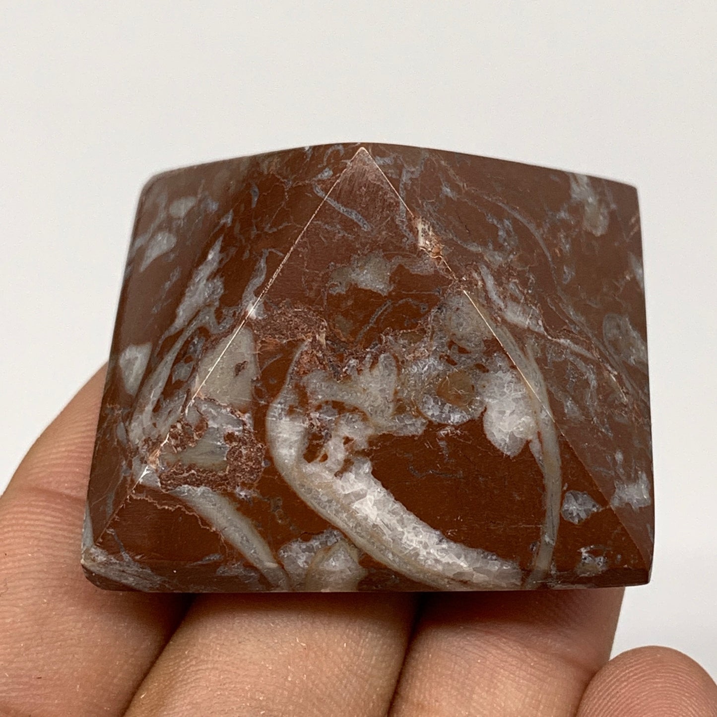 53.1g,1"x1.6" Natural Untreated Red Shell Fossils Pyramid Reiki Energy, F1181