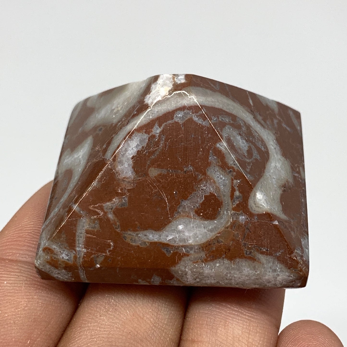 56g,1"x1.6" Natural Untreated Red Shell Fossils Pyramid Reiki Energy, F1191