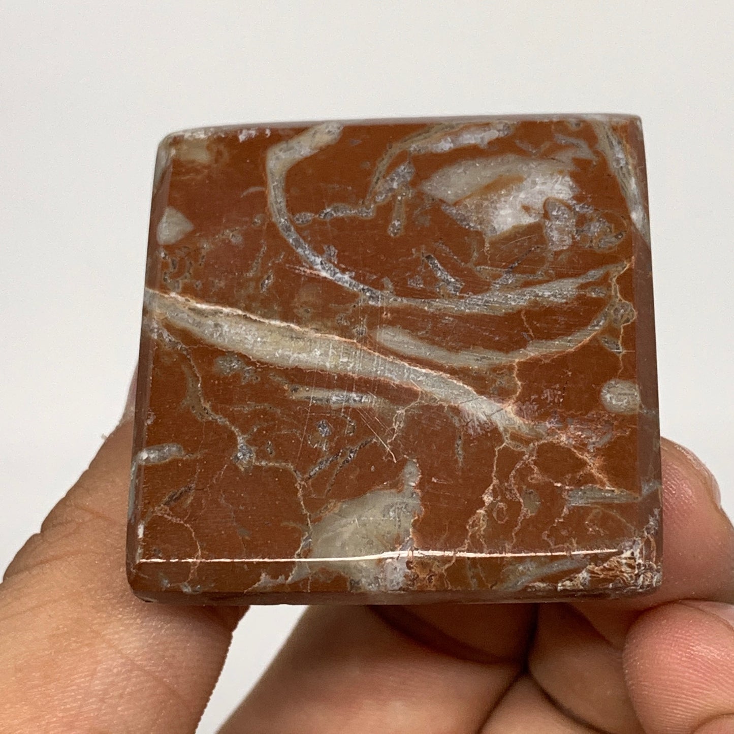 62.6g,1.2"x1.6" Natural Untreated Red Shell Fossils Pyramid Reiki Energy, F1193