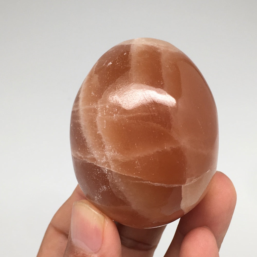 183.9g, 2.3"x1.8" Honey Color Onyx Polished Small Eggs from Morocco, MF3402