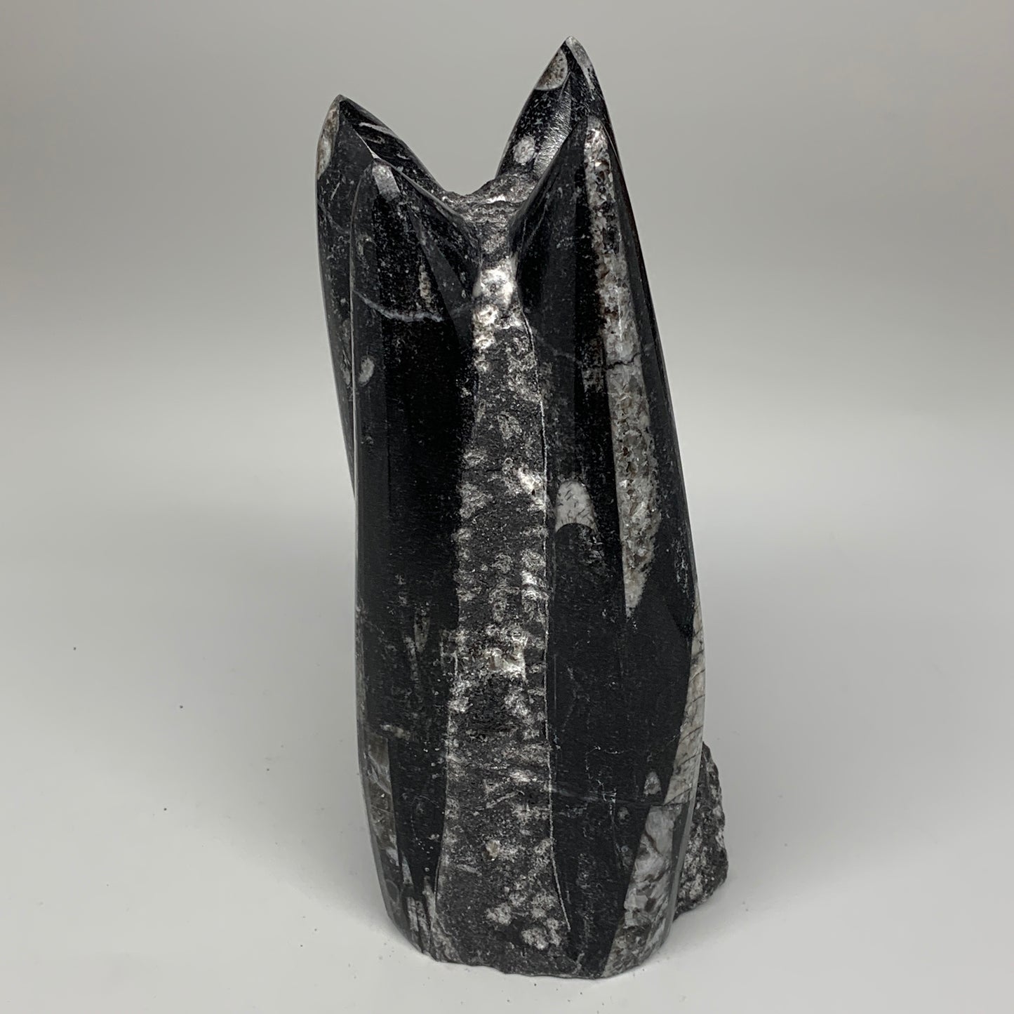 1604g, 7.25"x3.2"x2.9" Black Fossils Orthoceras Sculpture Tower @Morocco,B8616