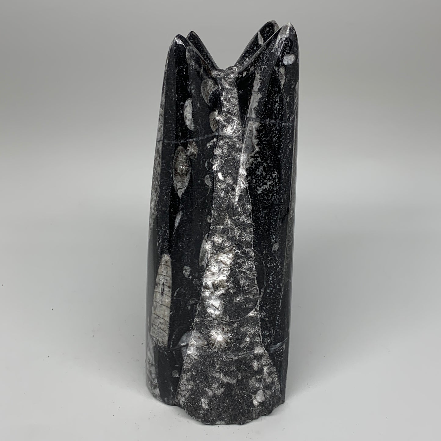 1604g, 7.25"x3.2"x2.9" Black Fossils Orthoceras Sculpture Tower @Morocco,B8616