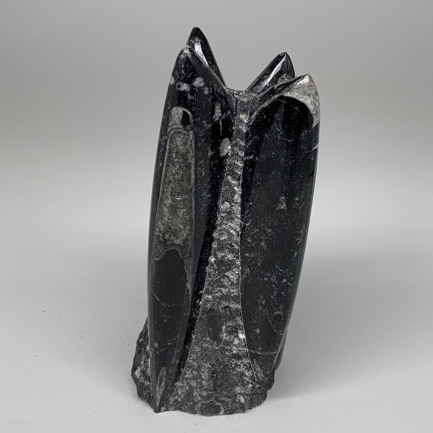 1604g, 7.25"x3.2"x2.9" Black Fossils Orthoceras Sculpture Tower @Morocco,B8616