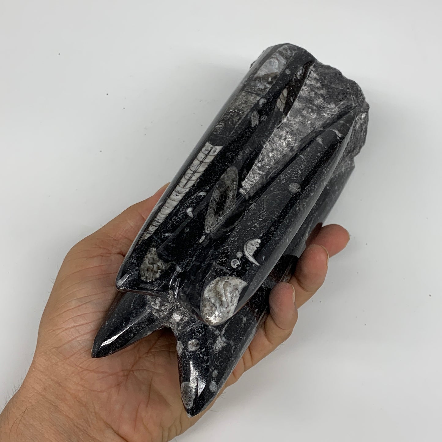 1604g, 7.25"x3.2"x2.9" Black Fossils Orthoceras Sculpture Tower @Morocco,B8616