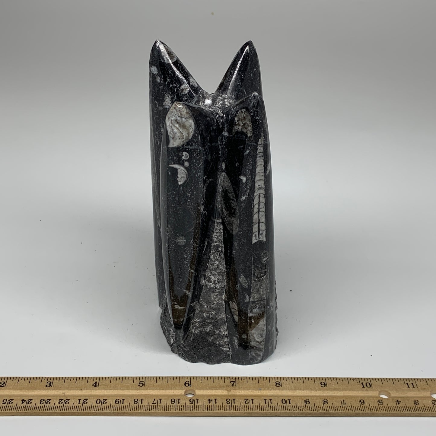 1604g, 7.25"x3.2"x2.9" Black Fossils Orthoceras Sculpture Tower @Morocco,B8616