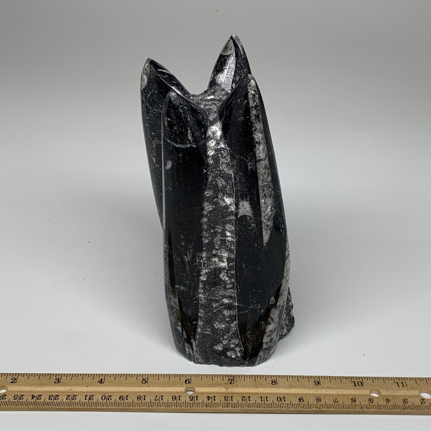 1604g, 7.25"x3.2"x2.9" Black Fossils Orthoceras Sculpture Tower @Morocco,B8616