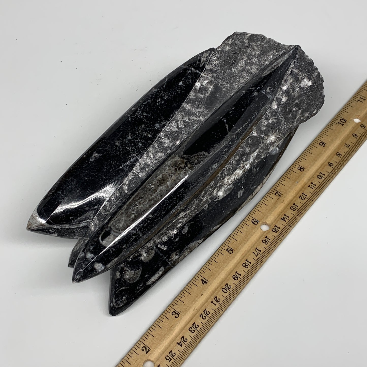 1604g, 7.25"x3.2"x2.9" Black Fossils Orthoceras Sculpture Tower @Morocco,B8616