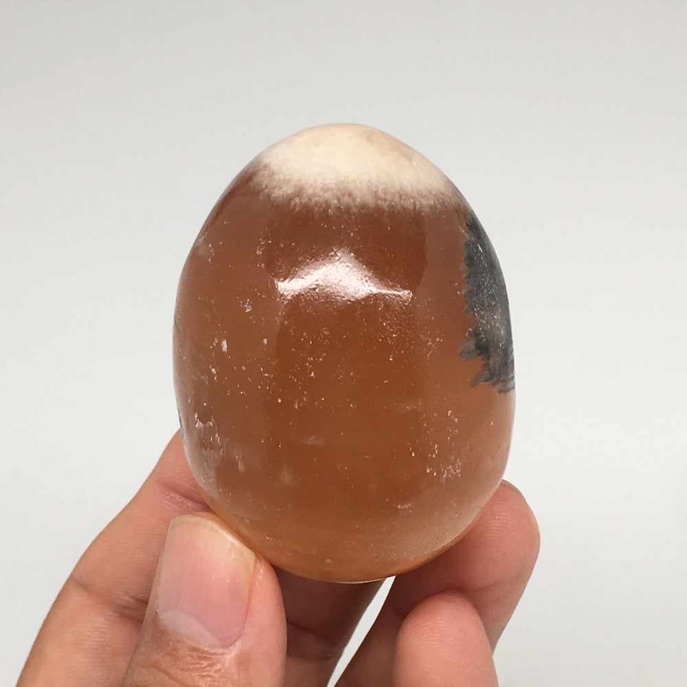 146.1g, 2.2"x1.7" Honey Color Onyx Polished Small Eggs from Morocco, MF3388