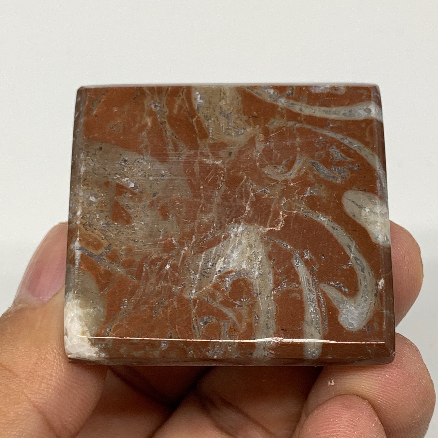 59g,1.2"x1.6" Natural Untreated Red Shell Fossils Pyramid Reiki Energy, F1235