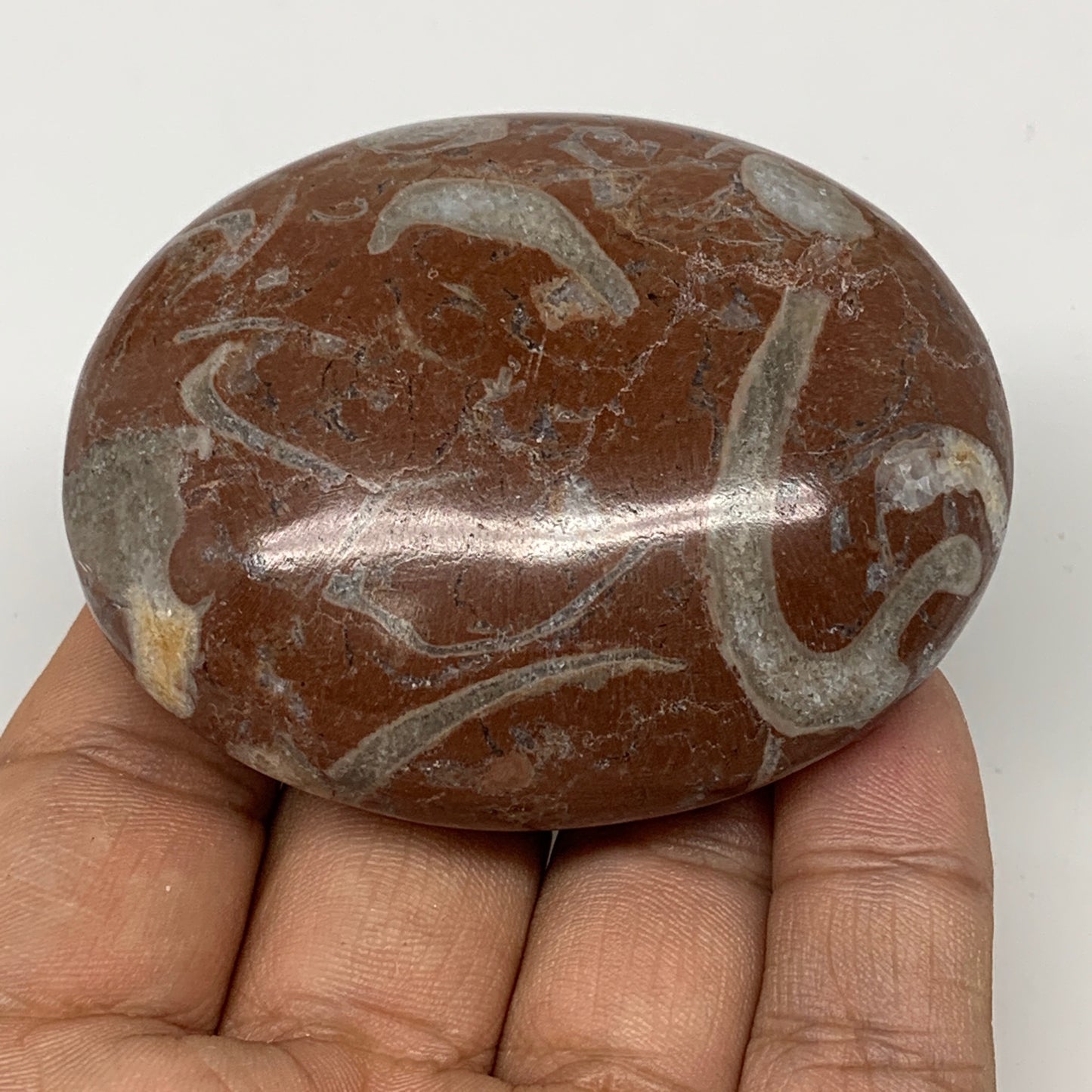 129g, 2.6"x2.1"x1", Natural Untreated Red Shell Fossils Oval Palms-tone, F1259
