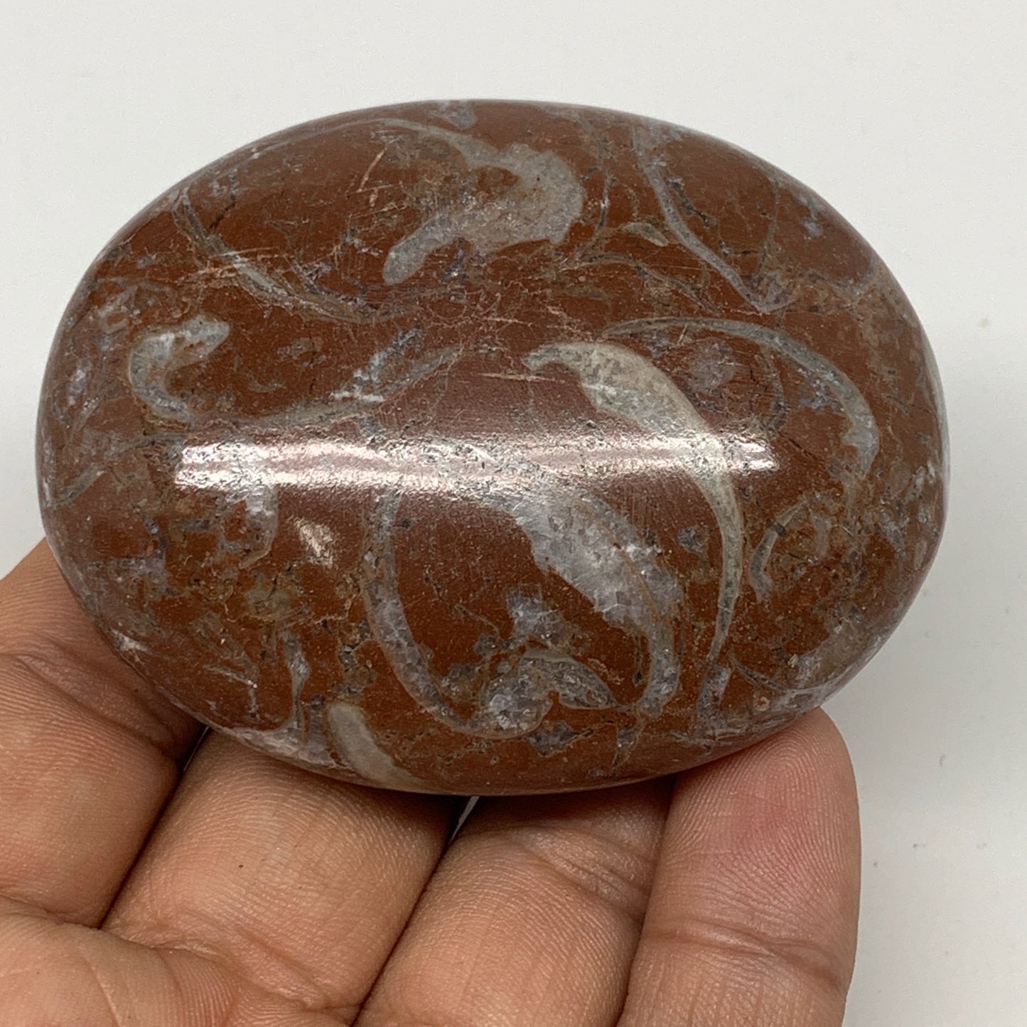 132.2g, 2.6"x2"x1.1", Natural Untreated Red Shell Fossils Oval Palms-tone, F1272