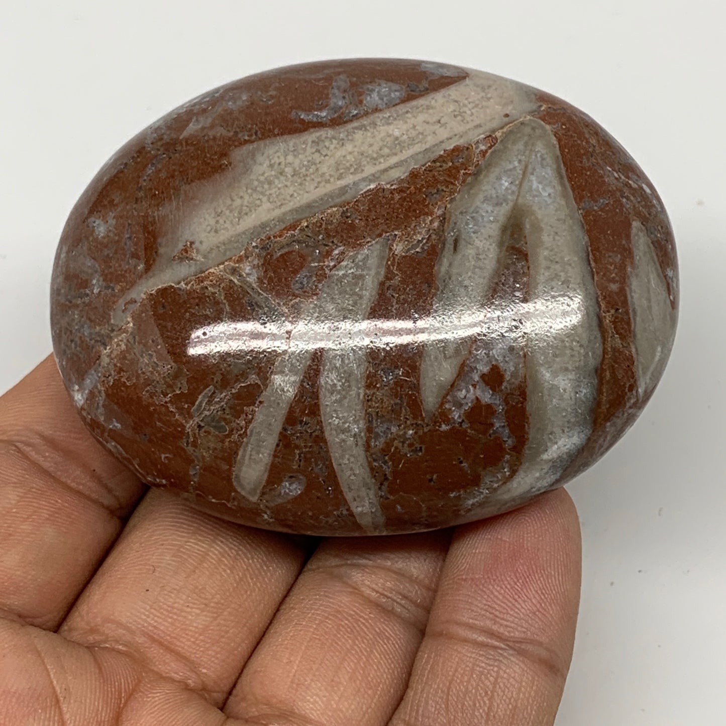 132.2g, 2.6"x2"x1.1", Natural Untreated Red Shell Fossils Oval Palms-tone, F1272