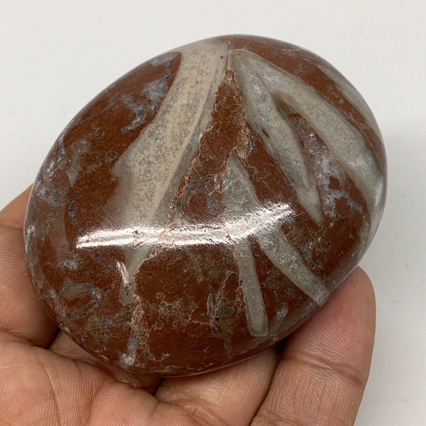 132.2g, 2.6"x2"x1.1", Natural Untreated Red Shell Fossils Oval Palms-tone, F1272