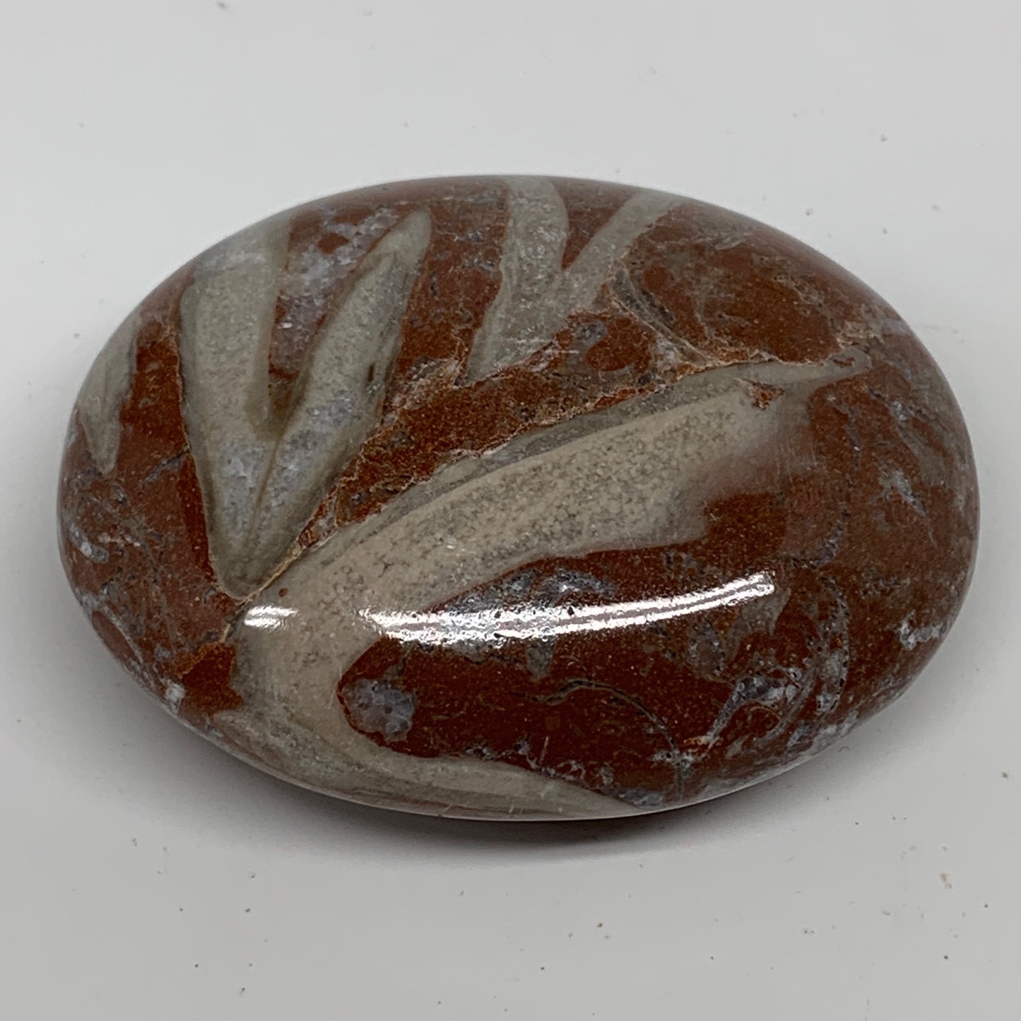 132.2g, 2.6"x2"x1.1", Natural Untreated Red Shell Fossils Oval Palms-tone, F1272