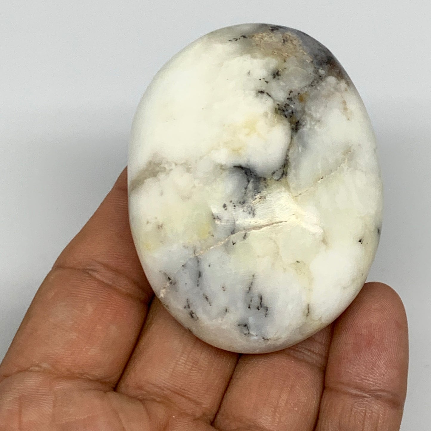 83.3g, 2.5"x1.8"x1" Dendrite Oapl Palm-Stone Reiki Energy Crystal Reiki, B16907