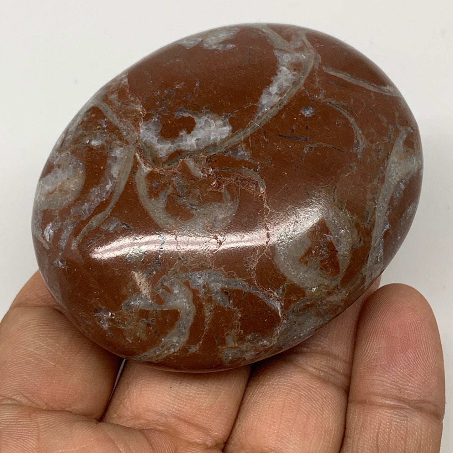 136.2g, 2.6"x2.1"x1.1", Natural Untreated Red Shell Fossils Oval Palms-tone, F12