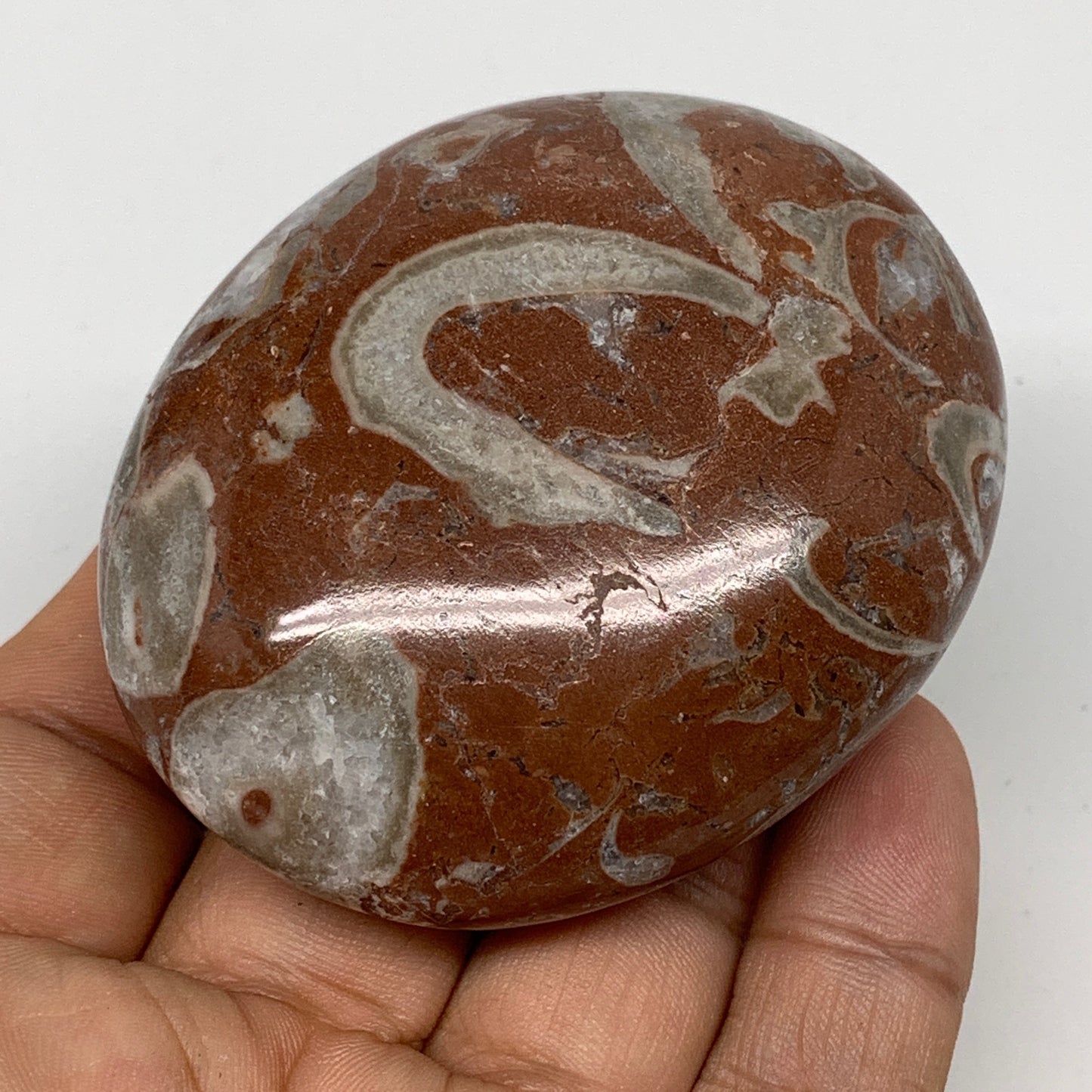 131.8g, 2.6"x2.1"x1.1", Natural Untreated Red Shell Fossils Oval Palms-tone, F12