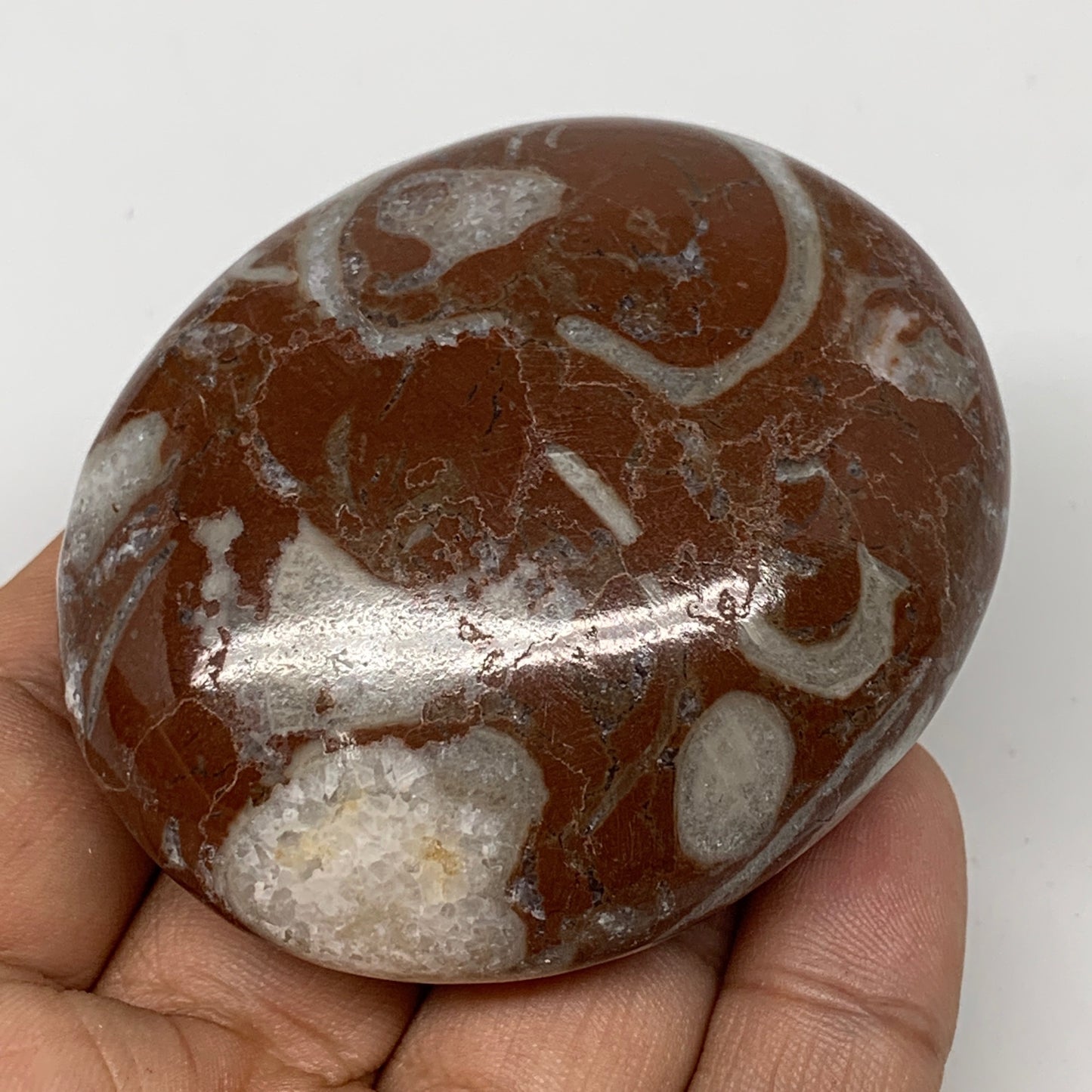 125.6g, 2.5"x2.1"x1", Natural Untreated Red Shell Fossils Oval Palms-tone, F1284