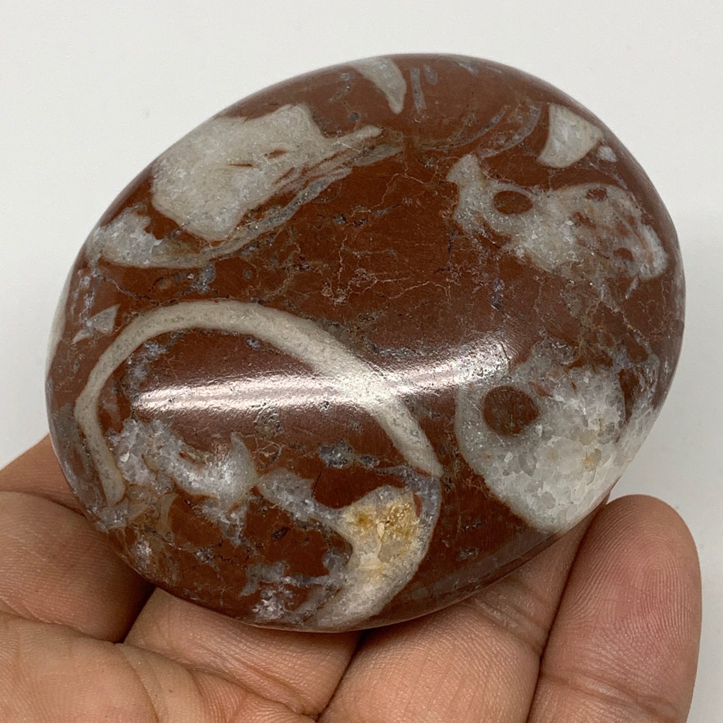 125.6g, 2.5"x2.1"x1", Natural Untreated Red Shell Fossils Oval Palms-tone, F1284