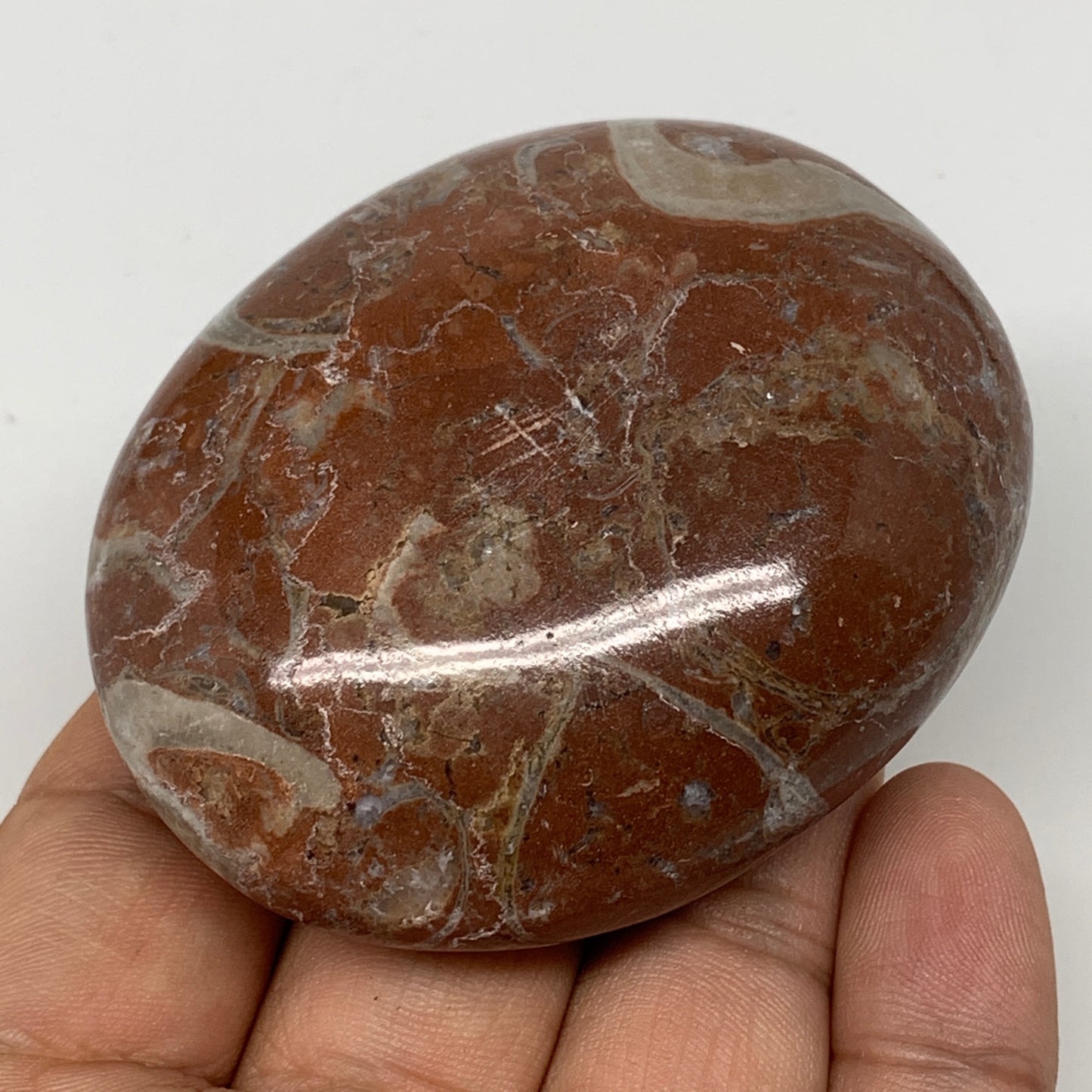 133.7g, 2.6"x2.1"x1.1", Natural Untreated Red Shell Fossils Oval Palms-tone, F12