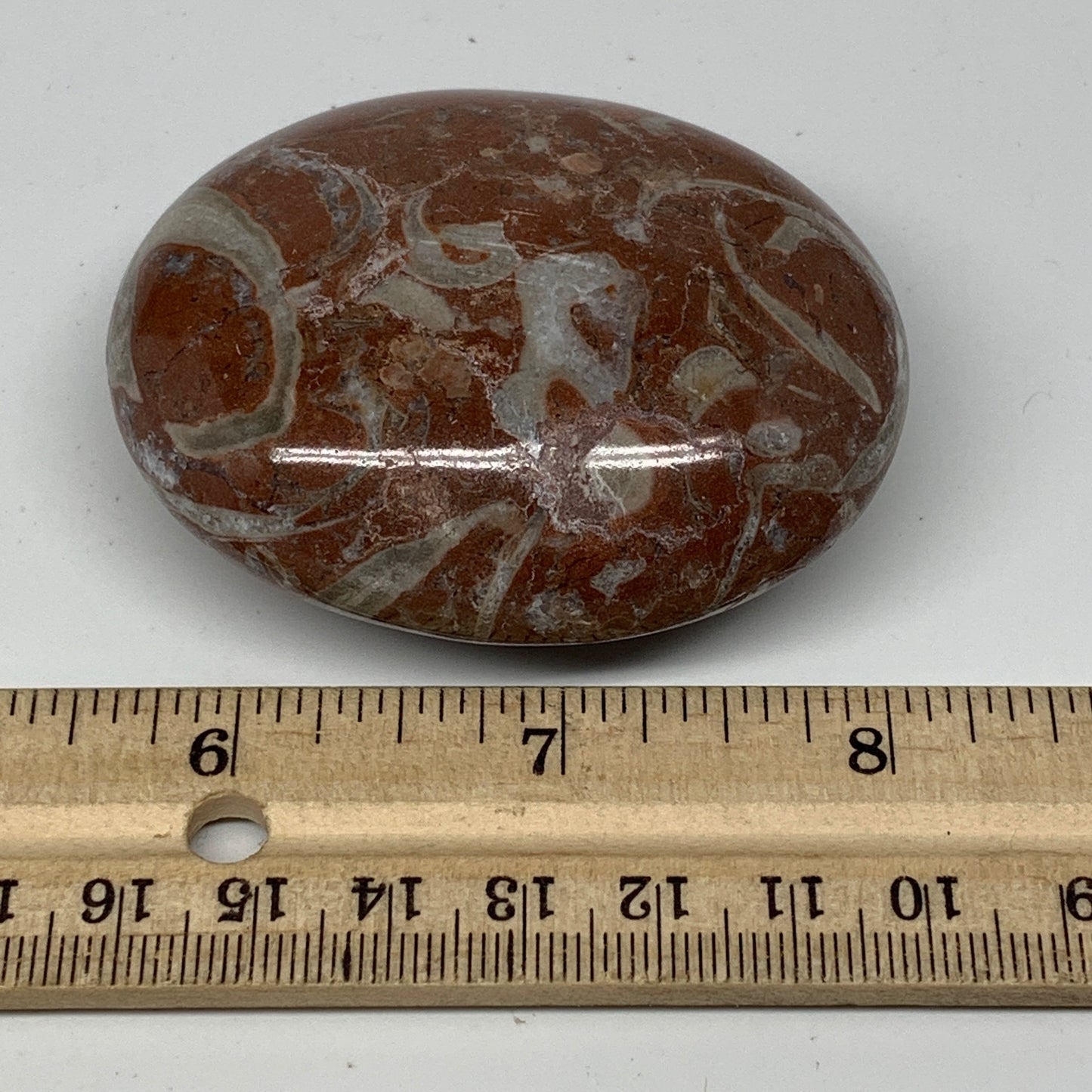 133.7g, 2.6"x2.1"x1.1", Natural Untreated Red Shell Fossils Oval Palms-tone, F12