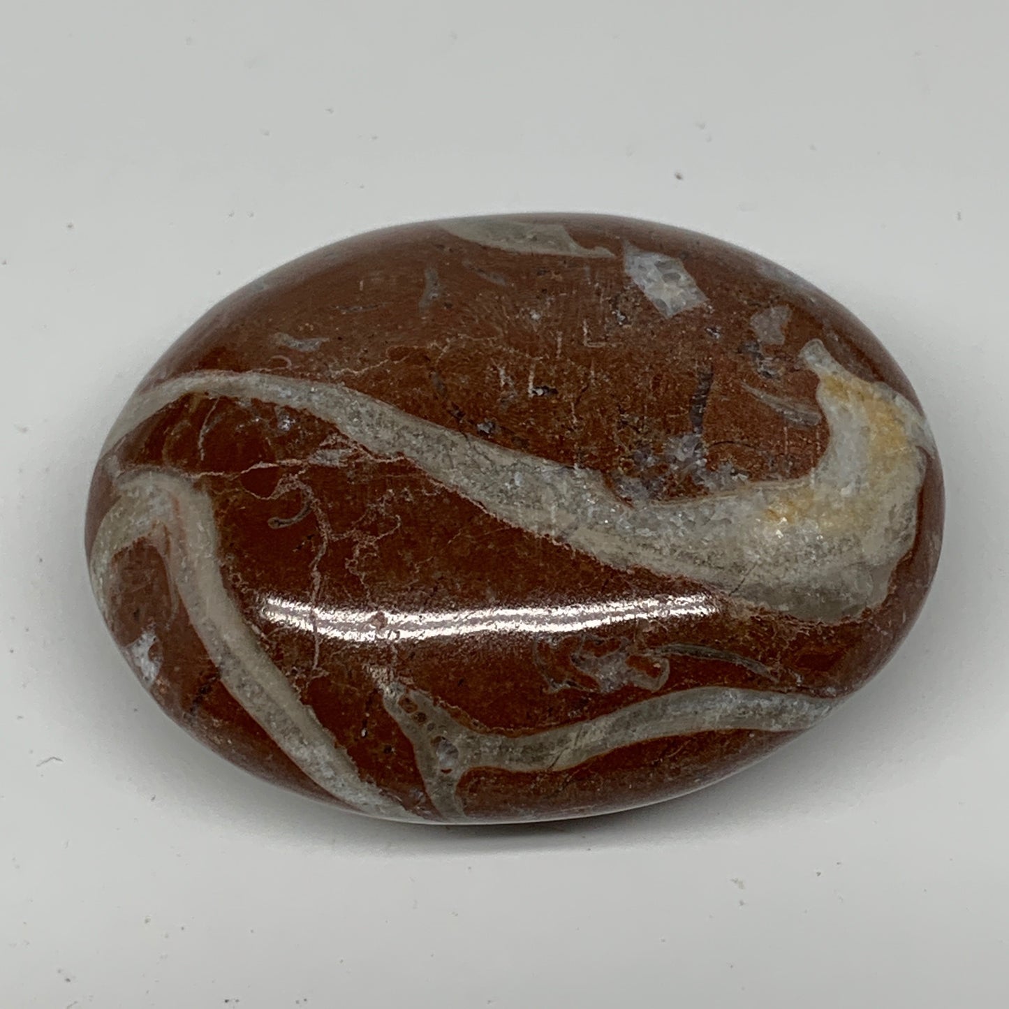 126.5g, 2.6"x2"x1.1", Natural Untreated Red Shell Fossils Oval Palms-tone, F1292