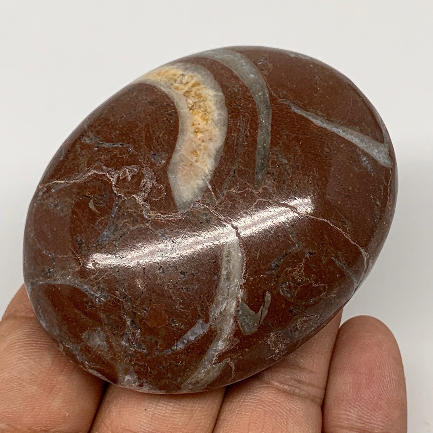 133.3g, 2.6"x2.1"x1.1", Natural Untreated Red Shell Fossils Oval Palms-tone, F13