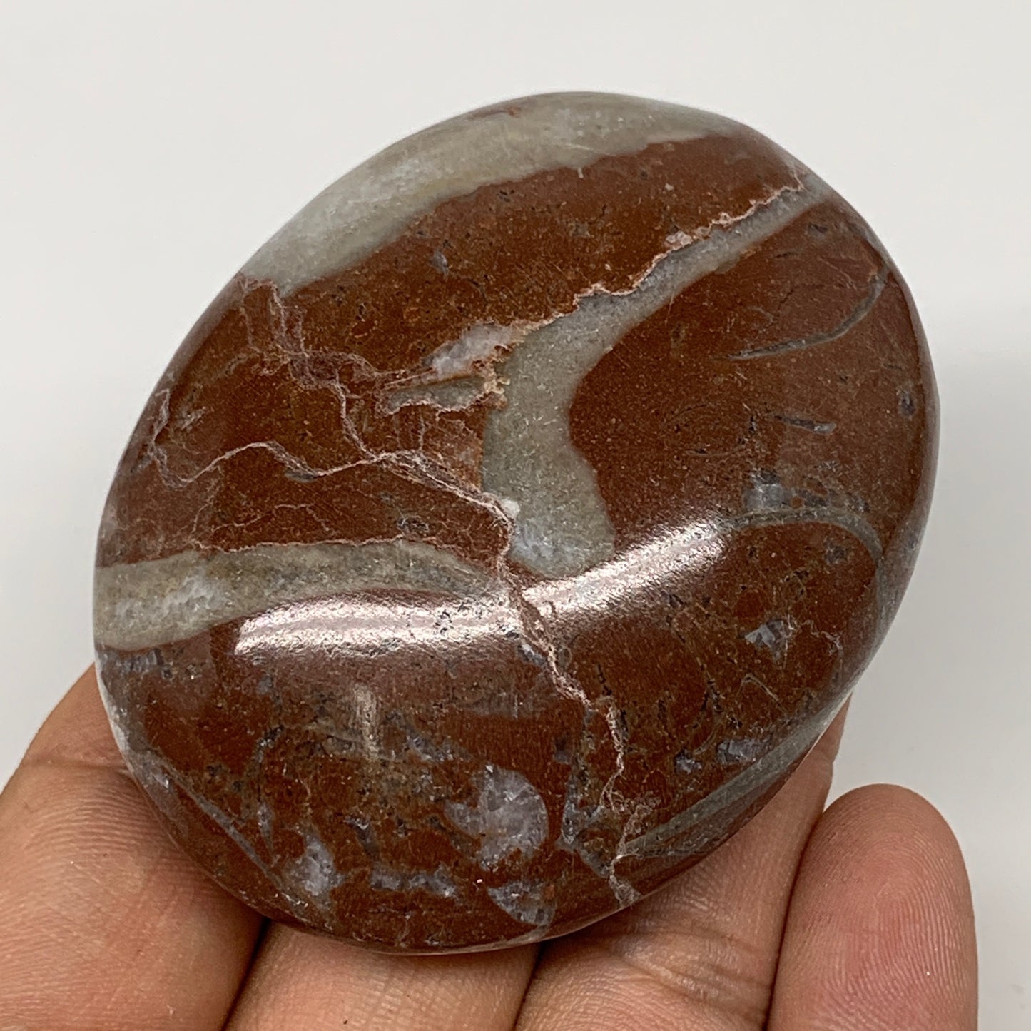 133.3g, 2.6"x2.1"x1.1", Natural Untreated Red Shell Fossils Oval Palms-tone, F13