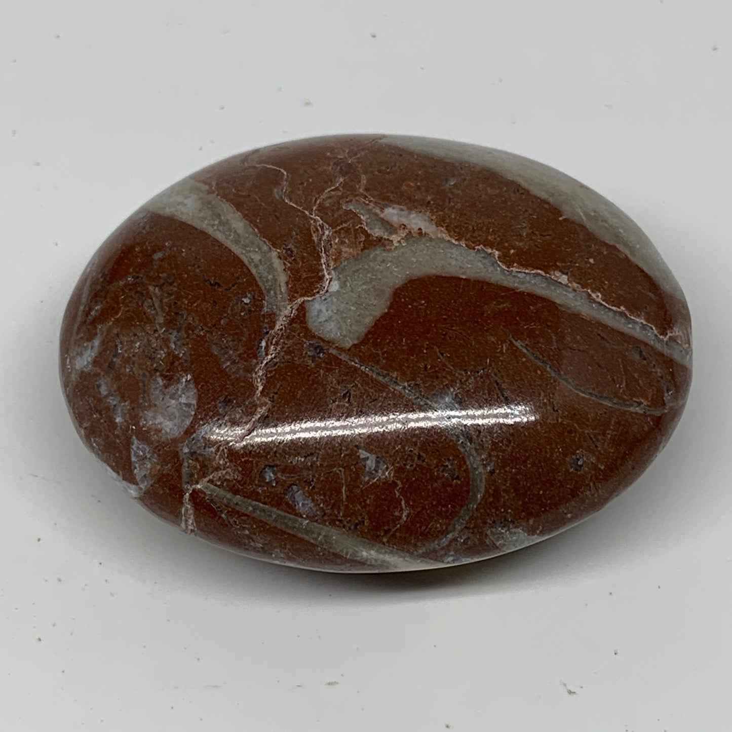 133.3g, 2.6"x2.1"x1.1", Natural Untreated Red Shell Fossils Oval Palms-tone, F13