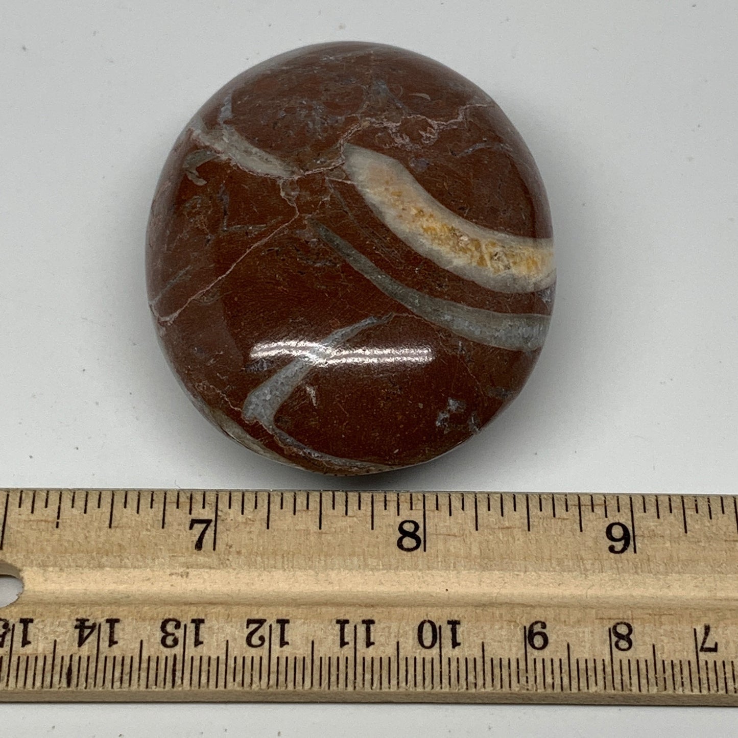 133.3g, 2.6"x2.1"x1.1", Natural Untreated Red Shell Fossils Oval Palms-tone, F13