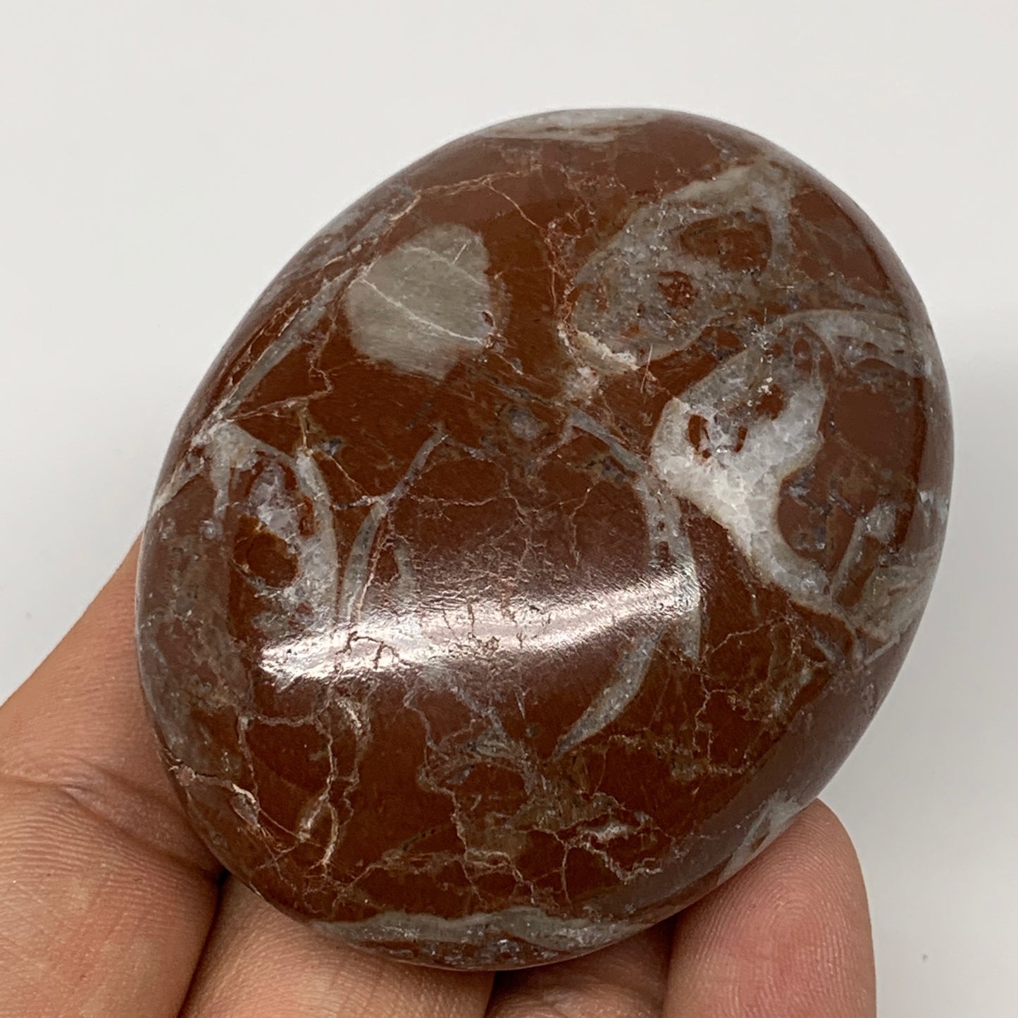 126g, 2.6"x2"x1", Natural Untreated Red Shell Fossils Oval Palms-tone, F1302